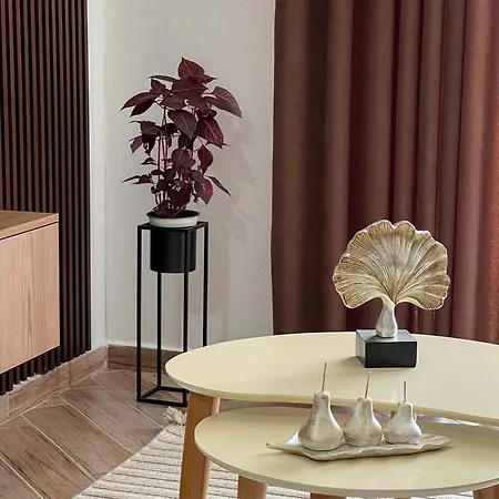 Guest Pro Albania Appartement *